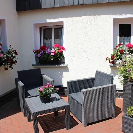 Maisonette-Fewo Fritz Mit Infrarotsauna Grossschoenau Exterior photo